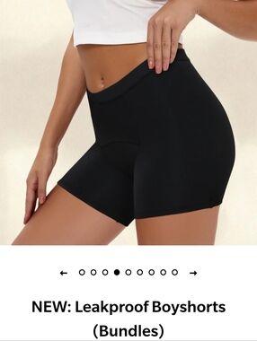 Leakproof Women’s Large Boyshorts Bundle
